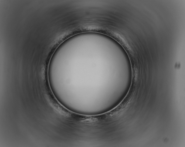 X0000094360447200711241941
