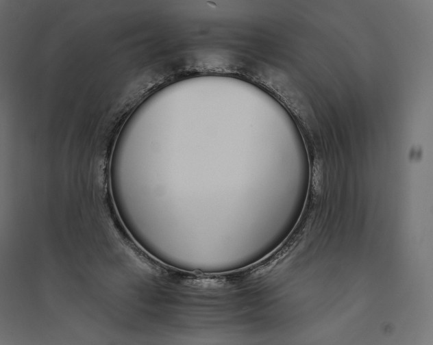 X0000094360449200711241941