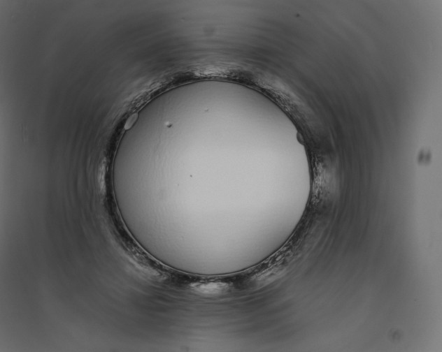 X0000094360452200711241941