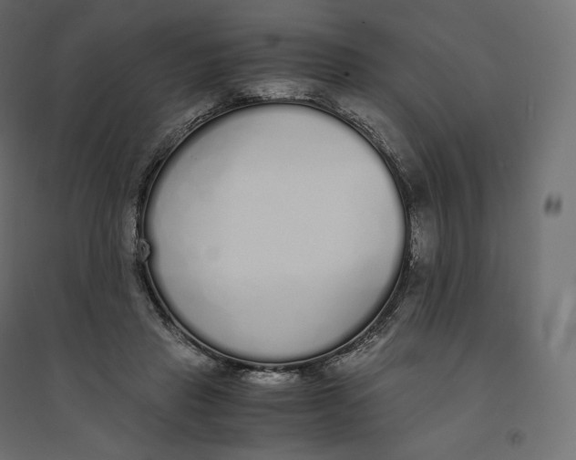 X0000094360453200711241941