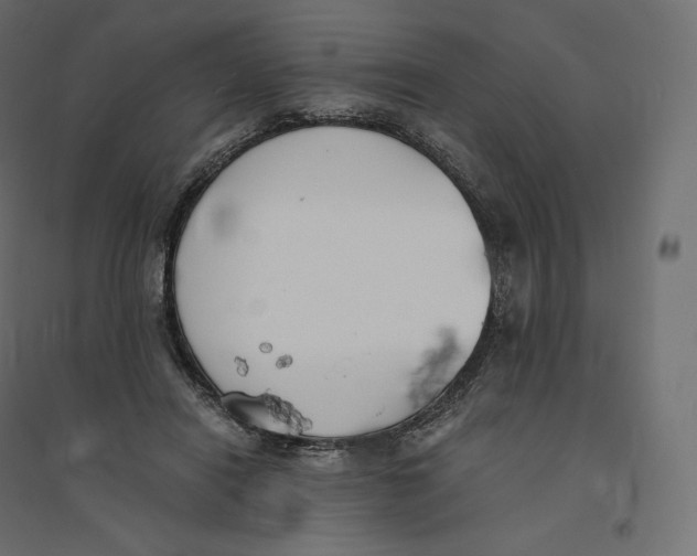 X0000094360454200711241941