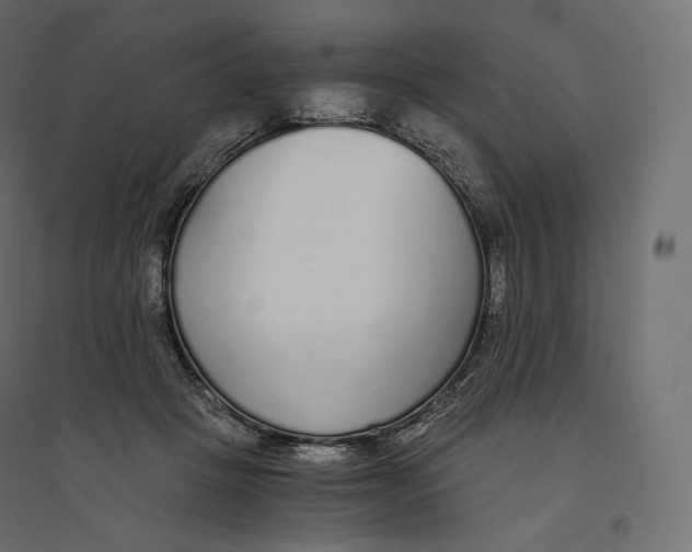 X0000094360457200711241941