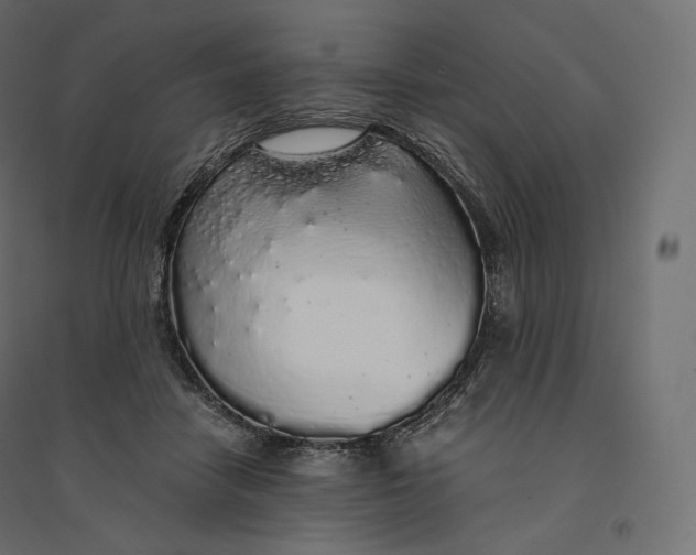 X0000094360458200711241941