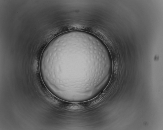 X0000094360459200711241941