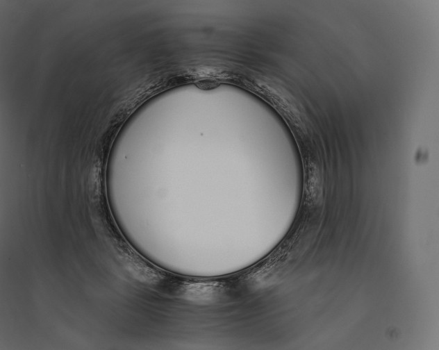 X0000094360461200711241941