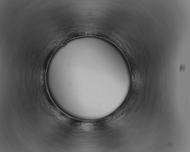 X0000094360462200711241941