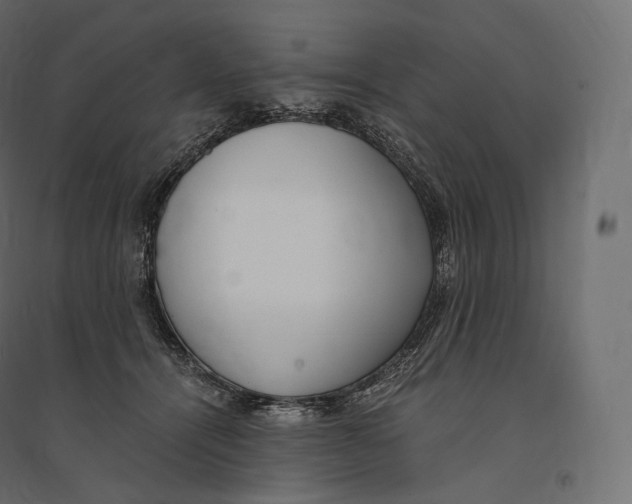 X0000094360464200711241941