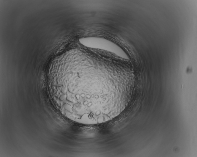 X0000094360465200711241941