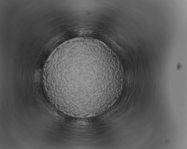 X0000094360475200711241941