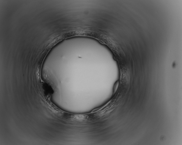 X0000094360479200711241941