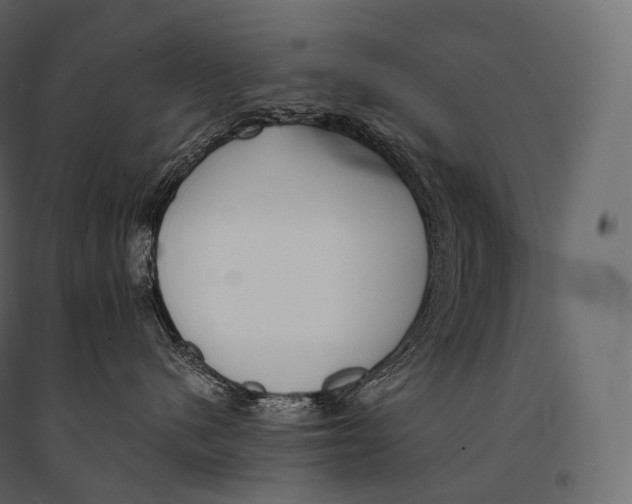 X0000094360480200711241941