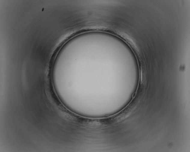 X0000094360483200711241940