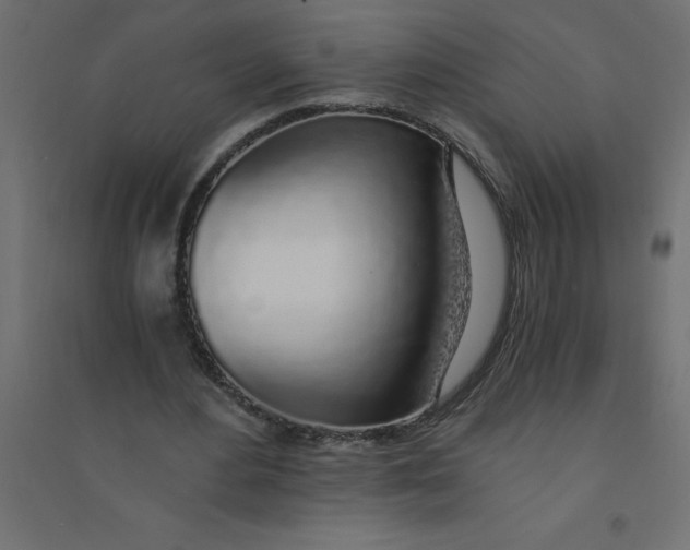 X0000094360484200711241940