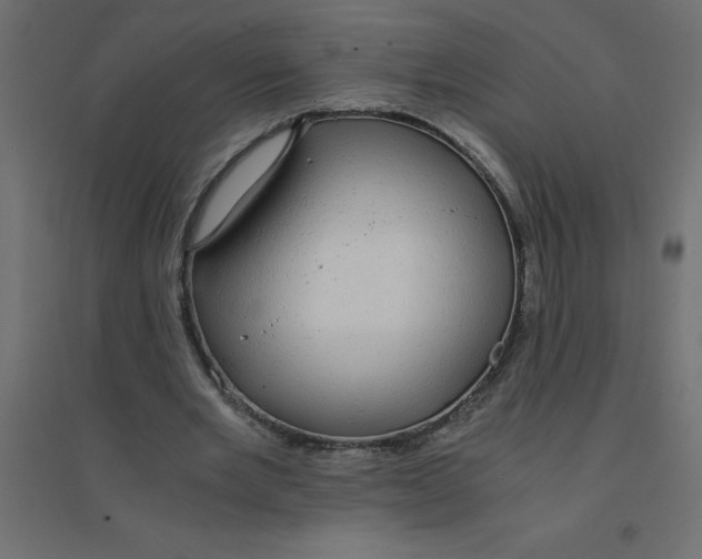 X0000094360485200711241940