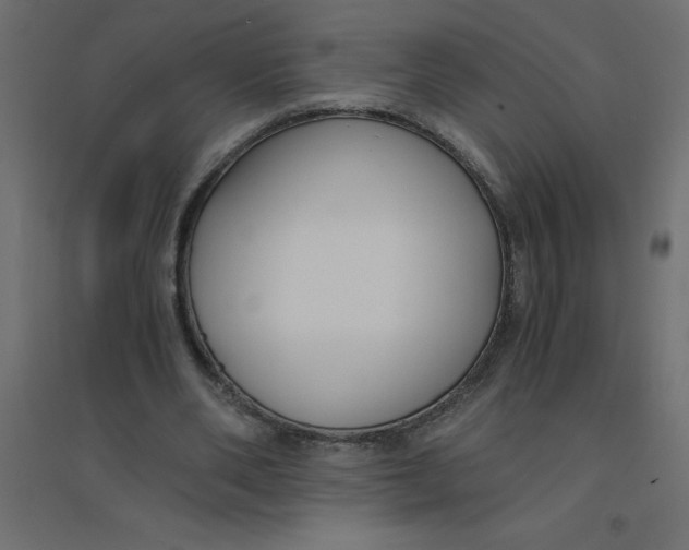 X0000094360486200711241940