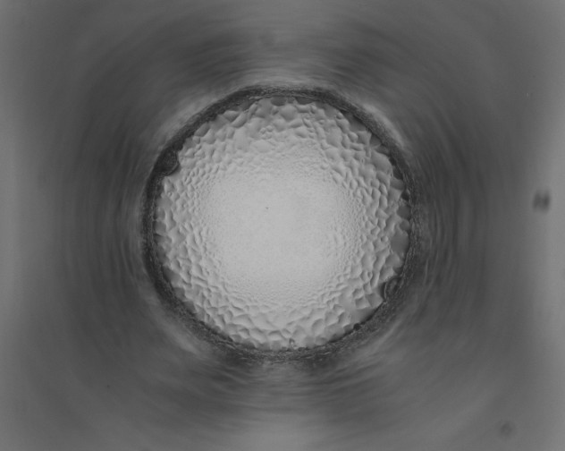 X0000094360487200711241940