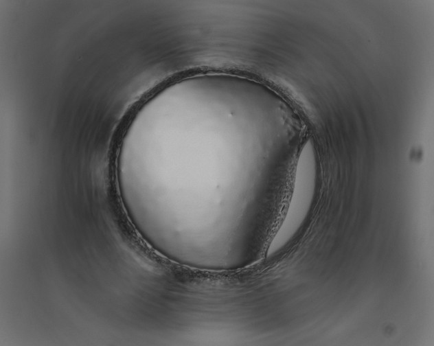 X0000094360488200711241940