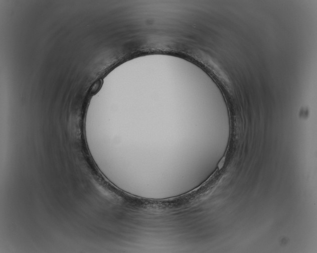 X0000094360489200711241940