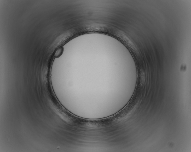 X0000094360490200711241940