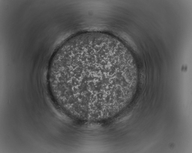 X0000094360491200711241940