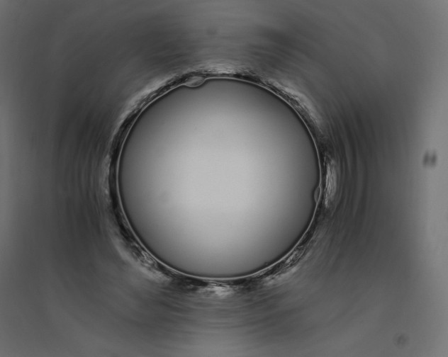 X0000094360492200711241940