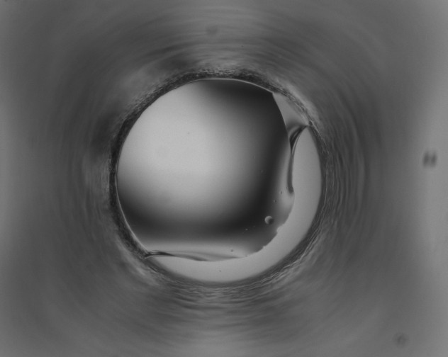 X0000094360493200711241940