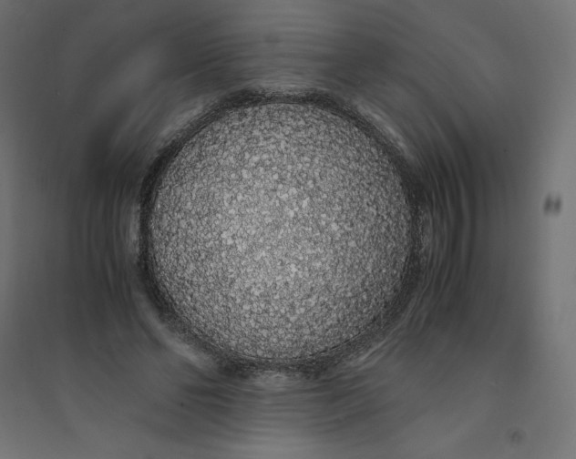 X0000094360494200711241940