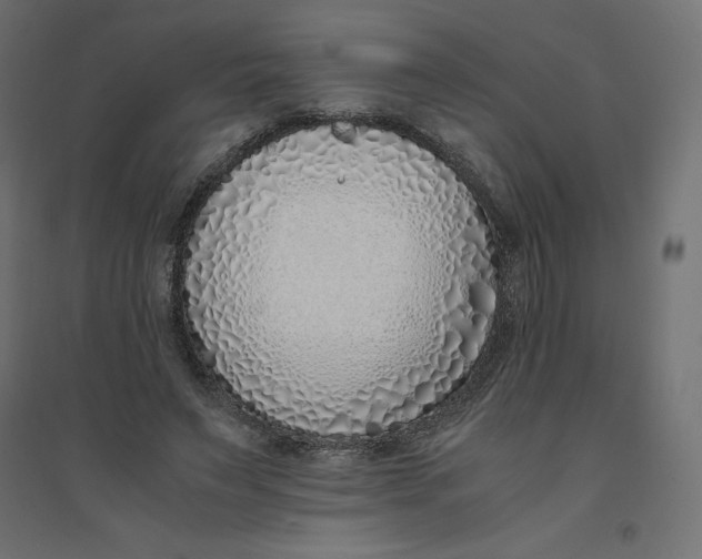 X0000094360495200711241940