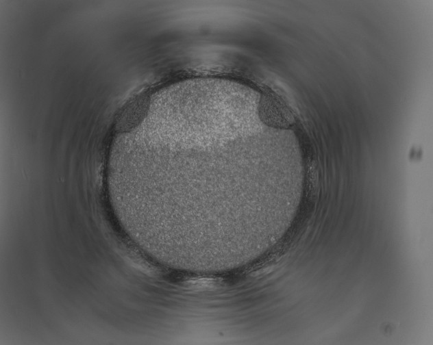 X0000094360499200711241940