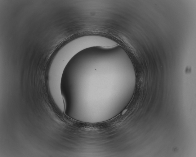 X0000094360500200711241940