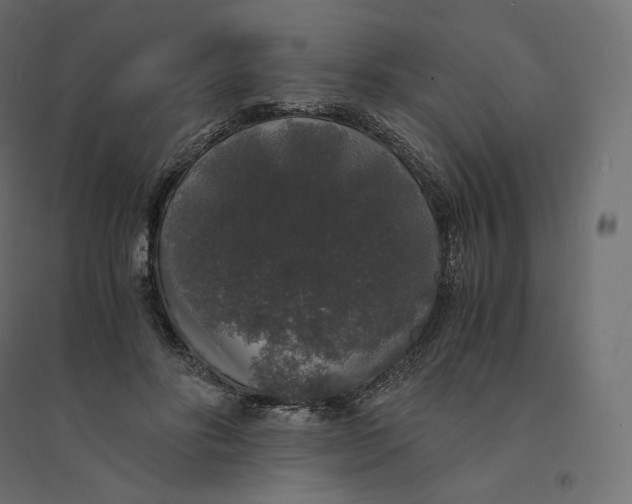 X0000094360502200711241940
