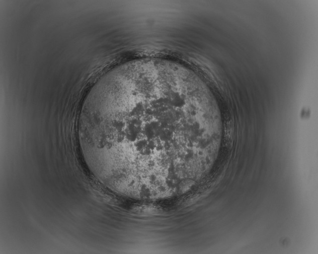 X0000094360503200711241940