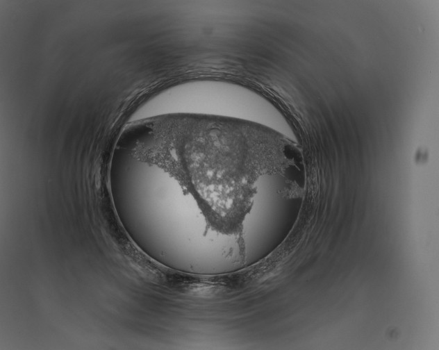 X0000094360504200711241940