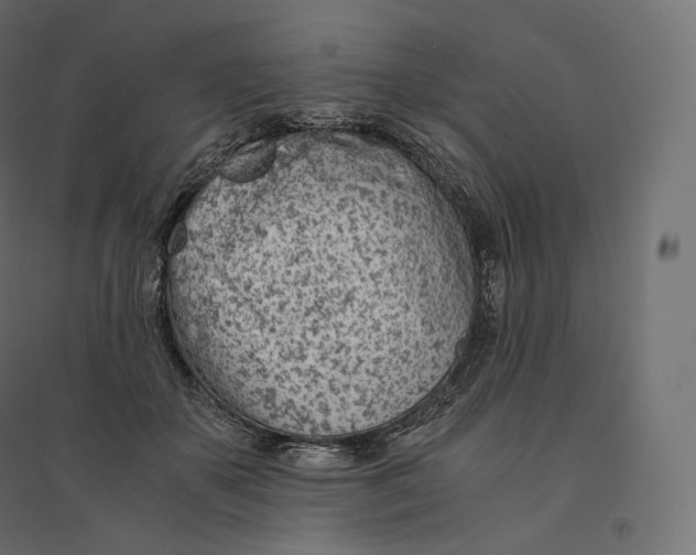 X0000094360507200711241940