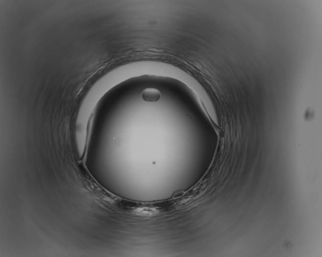 X0000094360508200711241940