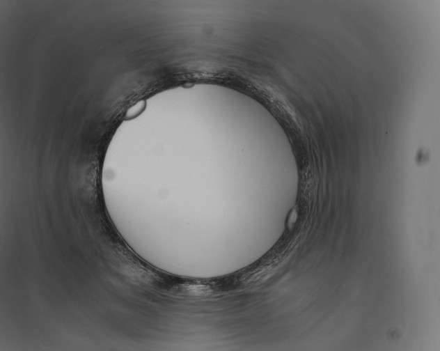 X0000094360509200711241940