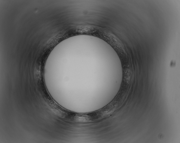 X0000094360510200711241940