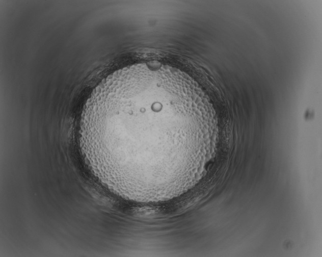 X0000094360511200711241940