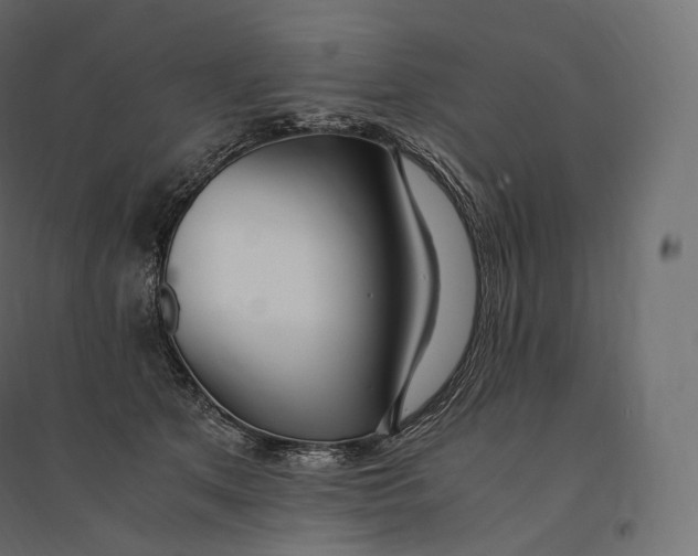 X0000094360513200711241940