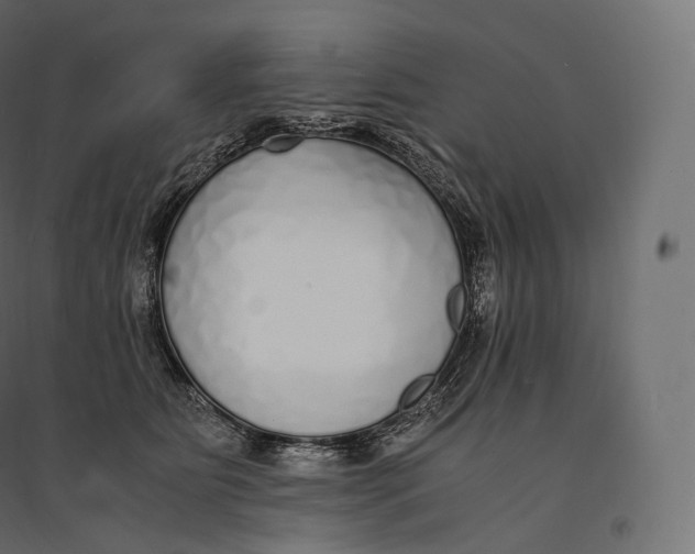 X0000094360515200711241940