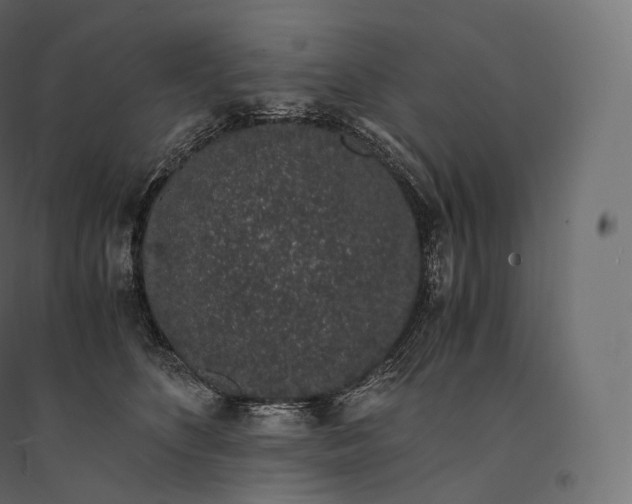X0000094360516200711241940
