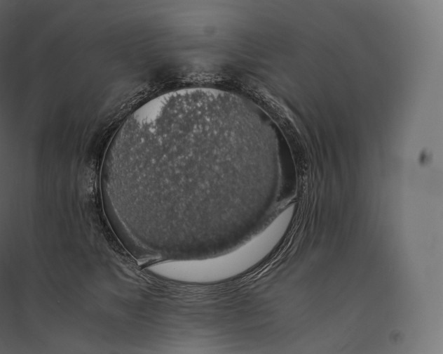 X0000094360517200711241940