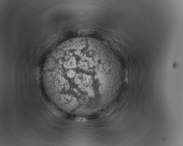 X0000094360519200711241940