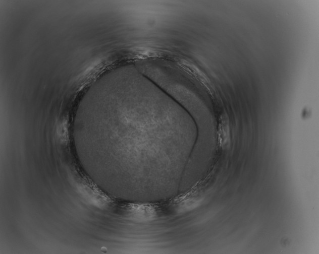 X0000094360520200711241940