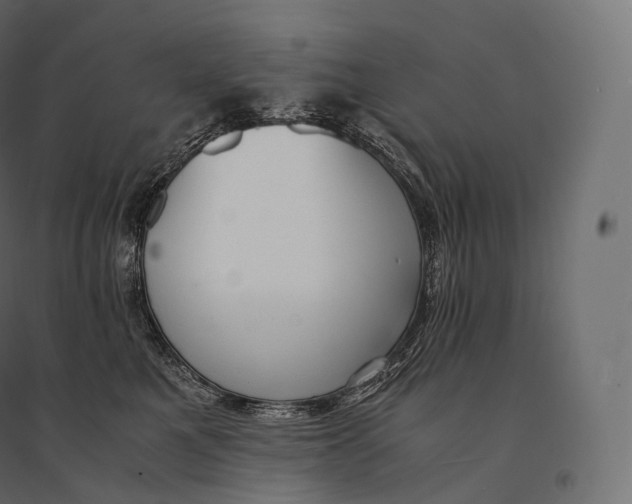 X0000094360521200711241940