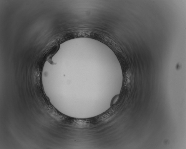 X0000094360522200711241940