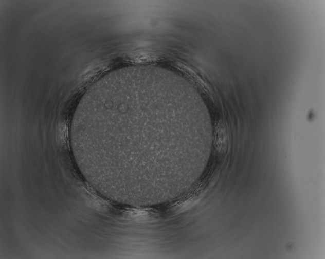 X0000094360523200711241940