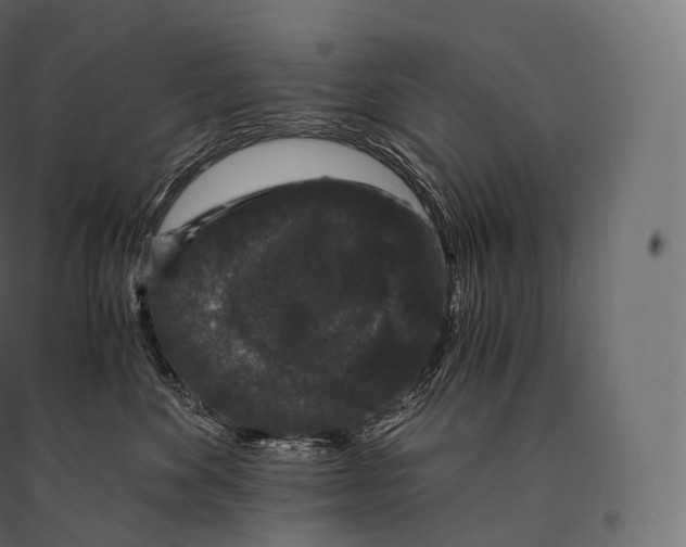 X0000094360524200711241940