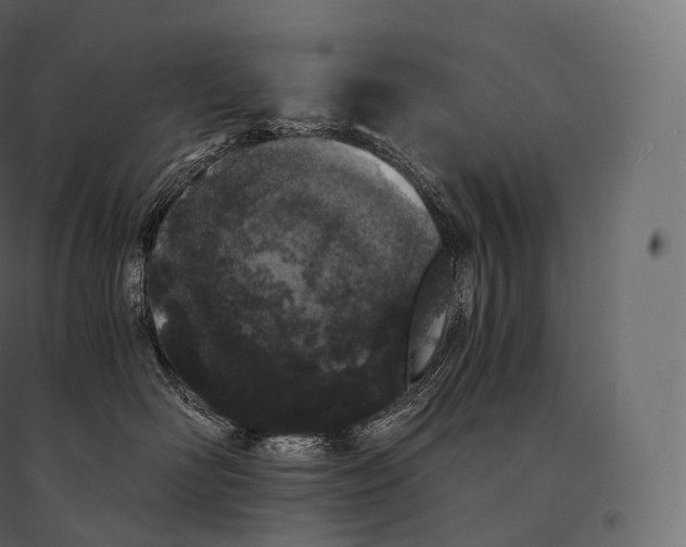 X0000094360526200711241940