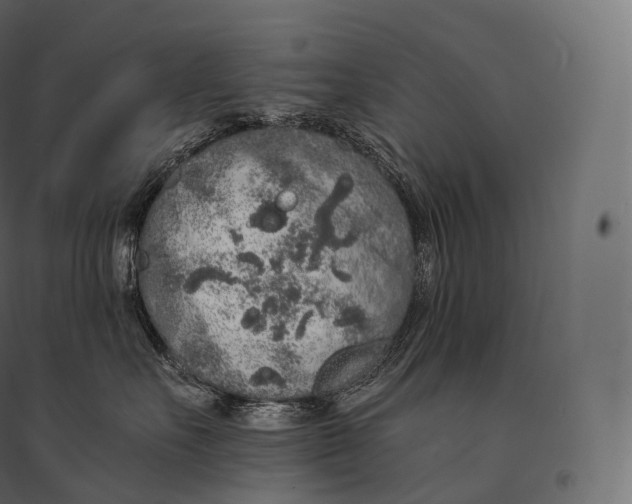 X0000094360527200711241940